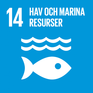 M&aring;l 14